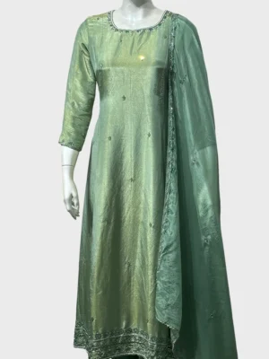 Tissue Top with Organza Dupatta - W1013