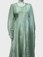 Tissue Top with Organza Dupatta - W1016