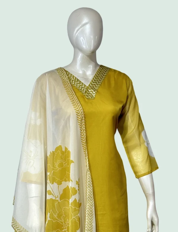 Organza Suit Set - WS1006
