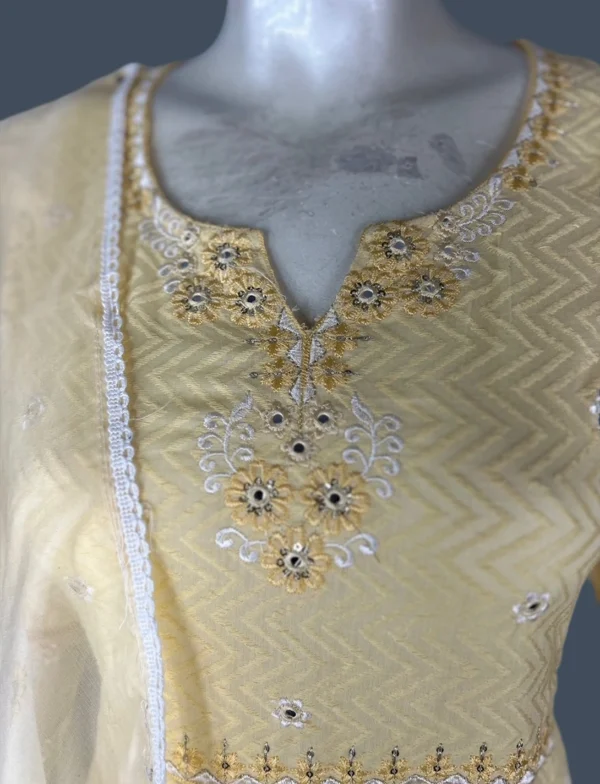 Mul Cotton & Organza Suit Set - WS1034