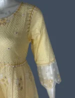 Mul Cotton & Organza Suit Set - WS1034