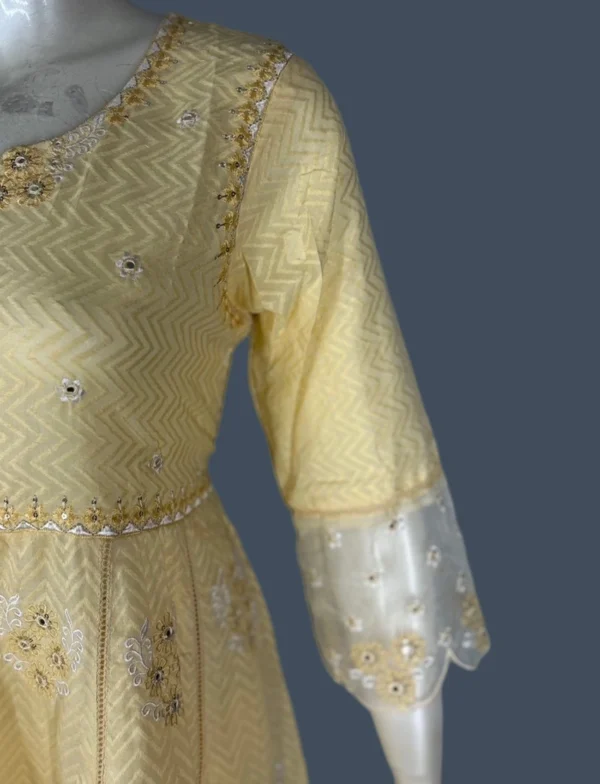 Mul Cotton & Organza Suit Set - WS1034