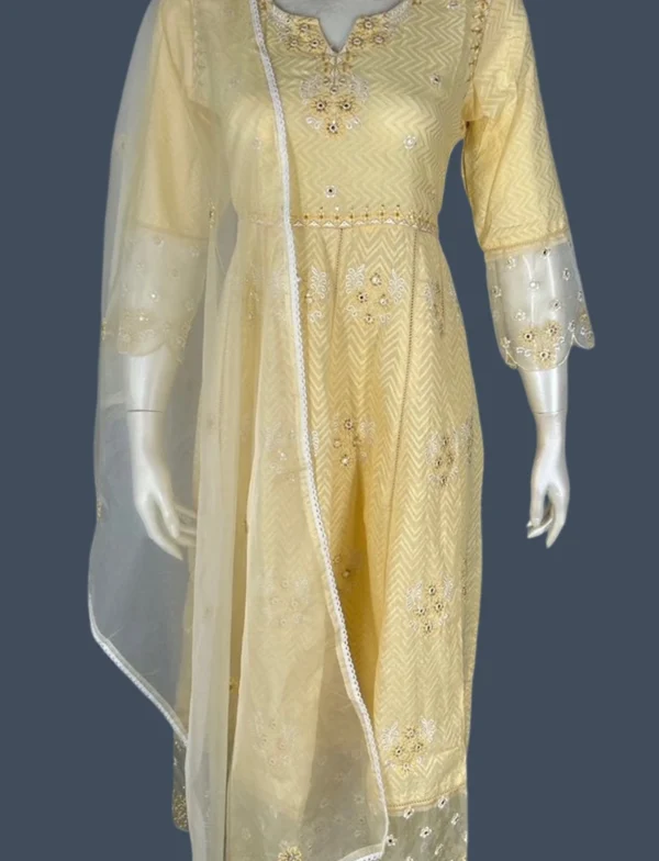 Mul Cotton & Organza Suit Set - WS1034