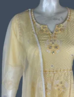 Mul Cotton & Organza Suit Set - WS1034